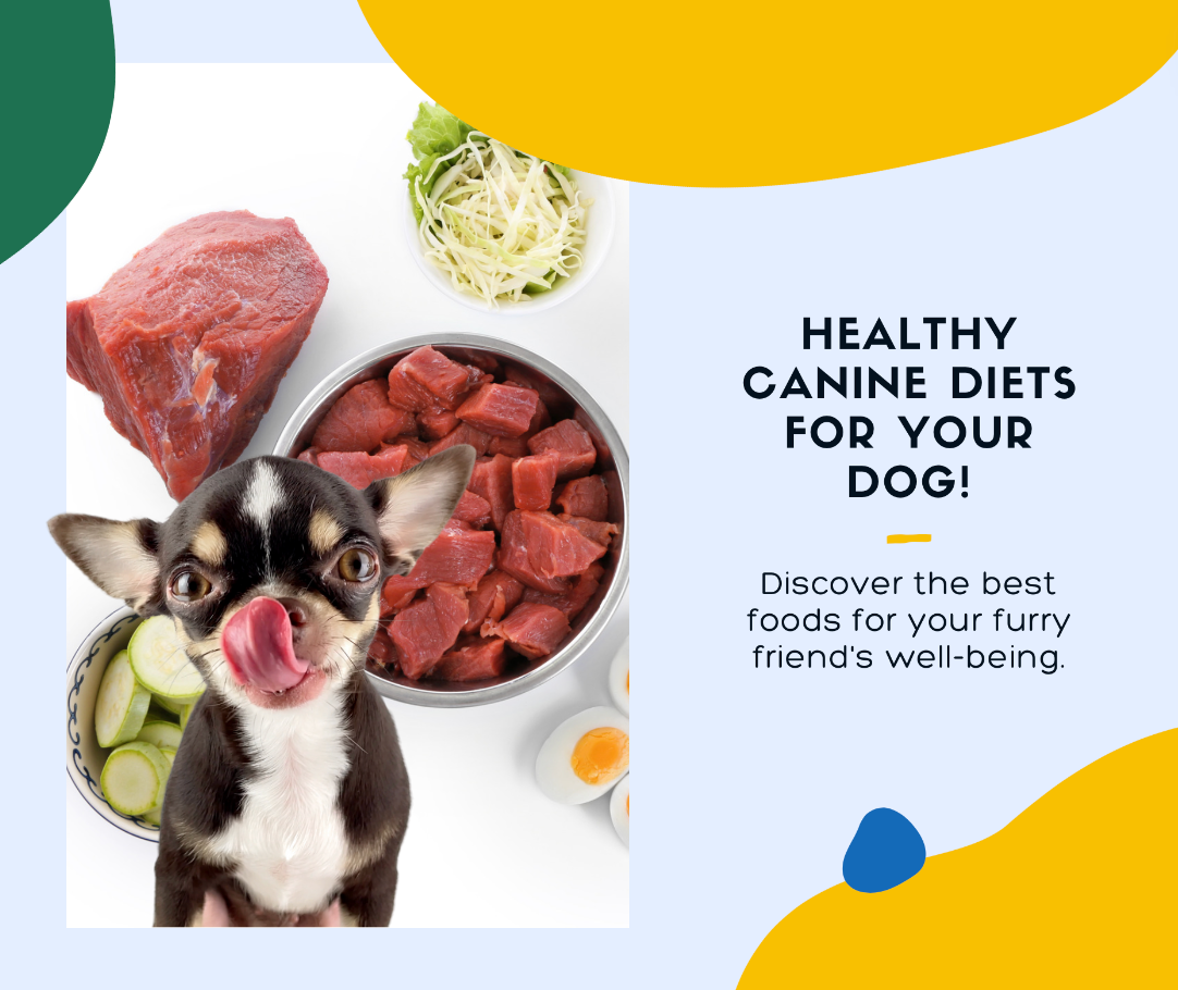 Best Good Foods For Dogs